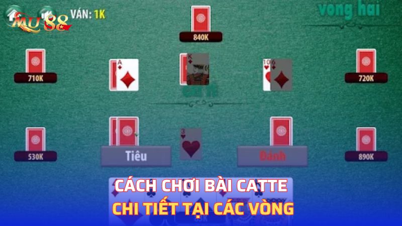 Cách chơi bài Catte chi tiết tại các vòng