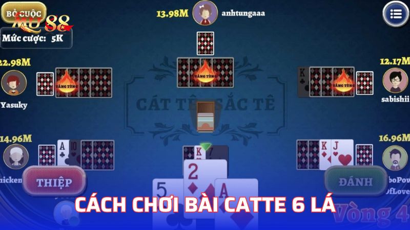 Cách chơi bài Catte 6 lá cho người mới