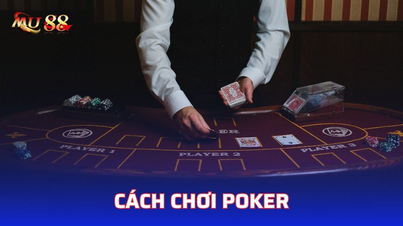 Cách chơi Poker căn bản cho tân thủ