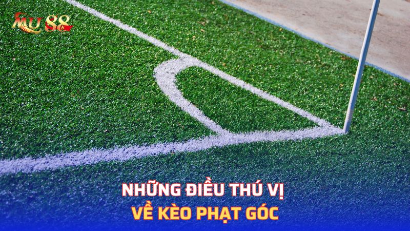 Những điều thú vị về kèo phạt góc