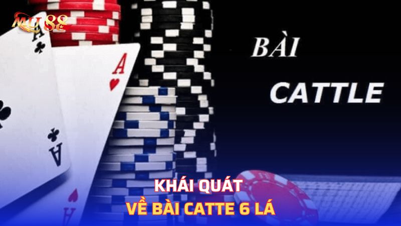 Khái quát về bài Catte 6 lá