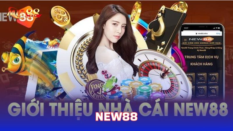 Sơ lược về sân chơi cá cược New88