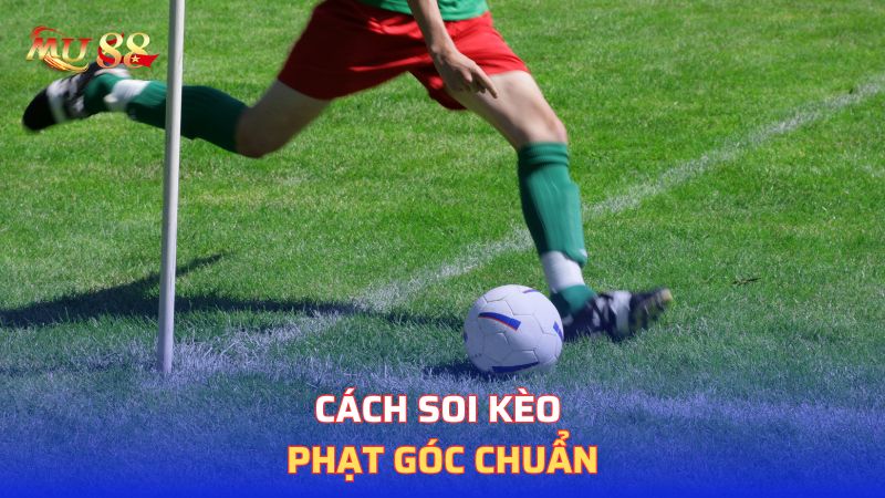 Cách soi kèo phạt góc chuẩn