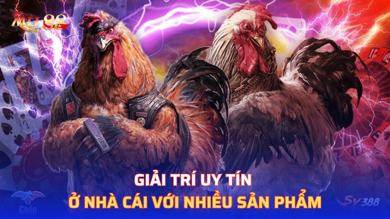 Giải trí uy tín ở nhà cái với nhiều sản phẩm