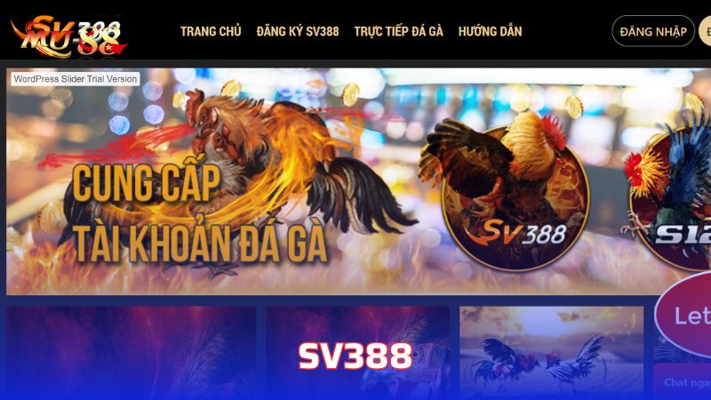 SV388 là trang cá cược hợp pháp