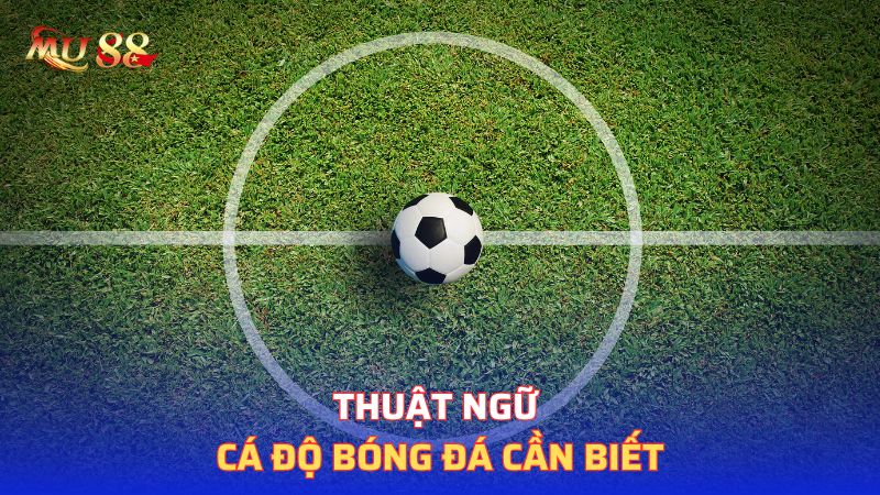 Thuật ngữ cá độ độ bóng đá cần biết