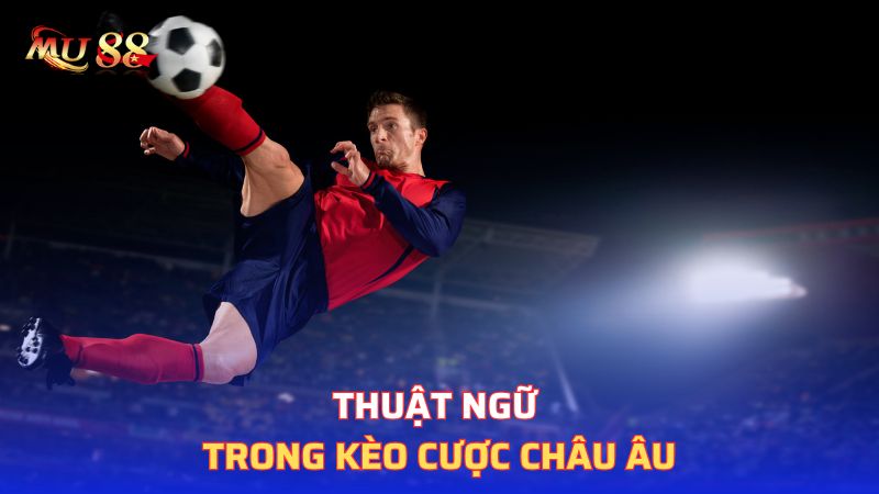 Thuật ngữ trong kèo cược châu Âu