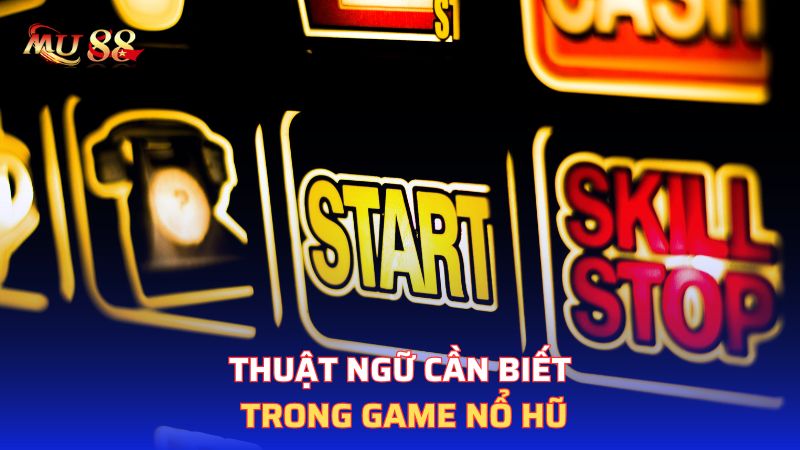 Thuật ngữ cần biết trong game nổ hũ