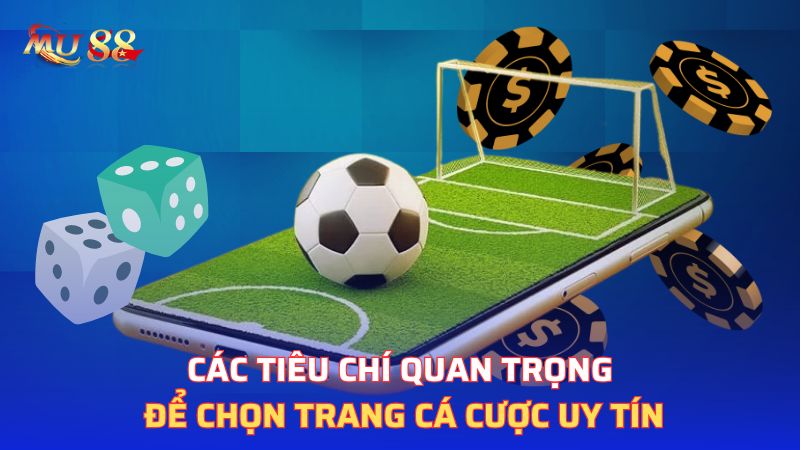 Các tiêu chí quan trọng để chọn trang cá cược uy tín