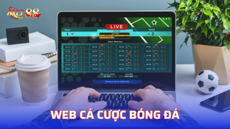 Web cá cược bóng đá là nơi cho phép cá cược qua mạng