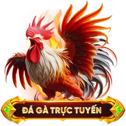 đá gà trực tuyến mu88